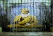 Una mirada budista a la (no) violencia