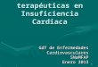 Novedades terapéuticas en Insuficiencia Cardiaca GdT de Enfermedades Cardiovasculares SNaMFAP Enero 2013 1