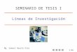 1/16 Líneas de Investigación Mg. Samuel Oporto Díaz SEMINARIO DE TESIS I