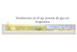 Tendencias en el up stream de gas en Argentina. Perfil de producción de un yacimiento de gas libre con plateau de producción