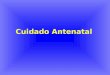 Cuidado Antenatal. Introducción Equipo de atención multidisciplinario Necesidades médicas Necesidades psicológicas y sociales