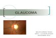 GLAUCOMA BELÉN GÓMEZ VIVES MIR-3 CS RAFALAFENA DICIEMBRE 2012