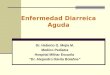 Enfermedad Diarreica Aguda Dr. Heberto G. Mejía M. Medico Pediatra Hospital Militar Escuela Dr. Alejandro Dávila Bolaños