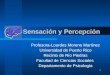 1 Sensación y Percepción Profesora-Lourdes Moreno Martínez Universidad de Puerto Rico Recinto de Río Piedras Facultad de Ciencias Sociales Departamento