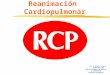Reanimación Cardiopulmonar Dr. A. Sergio Saracco Instructor RCP Plan de Emergencias Médicas y Catástrofes Gobierno de Mendoza