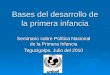 Bases del desarrollo de la primera infancia Seminario sobre Política Nacional de la Primera Infancia Tegucigalpa. Julio del 2010