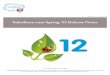 Salesforce Spring12 Release Notes