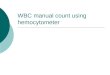 WBC Manual Count Using Hemocytometer