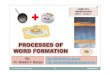 Processes of Word Formation - Morphology-lane 333-2012- Dr. Shadia