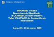 INFORME FASE I Directrices del Manifiesto IFLA/UNESCO sobre Internet Taller IFLA/FAIFE de Formación de Instructores Lima, 22 y 23 de marzo 2009 Municipalidad