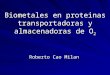 Biometales en proteinas transportadoras y almacenadoras de O 2 Roberto Cao Milan