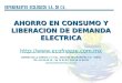 AHORRO EN CONSUMO Y LIBERACION DE DEMANDA ELECTRICA  ANDRES DE LA CONCHA # 9 COL. SAN JOSE INSURGENTES C.P. 03900 TEL: 55 98