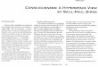 Sirag, Saul-Paul - Consciousness - A Hyperspace View