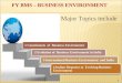 01 FY BMS - Business Environment