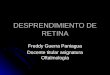 DESPRENDIMIENTO DE RETINA Freddy Guerra Paniagua Docente titular asignatura Oftalmología