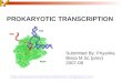 Prokaryotic Transcription by Priyanka Bissa
