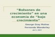 Bolsones de crecimiento en una economía de bajo crecimiento George Gray Molina Fernanda Wanderley abril, 2007