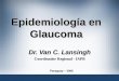 Epidemiología en Glaucoma Dr. Van C. Lansingh Coordinador Regional - IAPB Paraguay – 2006