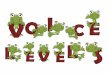 2011 Voice Levels