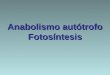 Anabolismo autótrofo Fotosíntesis. cloroplastos materia y energíaProceso de biosíntesis de moléculas orgánicas llevado a cabo por los cloroplastos de