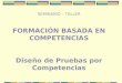 SEMINARIO – TALLER FORMACIÓN BASADA EN COMPETENCIAS Diseño de Pruebas por Competencias