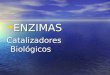 ENZIMAS ENZIMAS Catalizadores Biológicos. Gráfica de Actividad enzimática