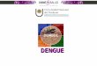 DENGUE. ¿Qué es Dengue? Es una enfermedad Viral,de evolución aguda y febril,con frecuencia epidémica transmitida por la picadura del mosquito Aedes aegypti