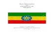 All Basic Information for Ethiopian Diaspora