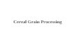 Cereal Grain Processing Class Lecture