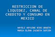 RESTRICCION DE LIQUIDEZ, CANAL DE CREDITO Y CONSUMO EN MEXICO NAYELI ADYLENE RIOS URUETA MARIA ELENA ZAZUETA SAPIEN