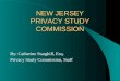 NEW JERSEY PRIVACY STUDY COMMISSION By: Catherine Starghill, Esq. Privacy Study Commission, Staff
