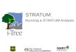 STRATUM: Running a STRATUM Analysis. Creating a STRATUM Project