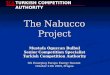 The Nabucco Project Mustafa Oguzcan Bulbul Senior Competition Specialist Turkish Competition Authority 5th Emerging Europe Energy Summit October 21th 2009,