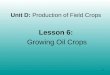 1 Unit D: Production of Field Crops Lesson 6: Growing Oil Crops