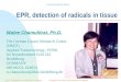 1 EPR, detection of radicals in tissue Walee Chamulitrat, Ph.D. The German Cancer Research Center (DKFZ) Applied Tumorvirology, F0700 Im Neuenheimerd Feld