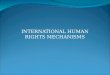 INTERNATIONAL HUMAN RIGHTS MECHANISMS. EUROPEAN COURT OF HUMAN RIGHTS