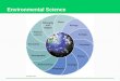 Environmental Science. What Is an Environmentally Sustainable Society?