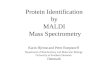 Protein Identification by MALDI Mass Spectrometry Karin Hjernø and Peter Roepstorff Department of Biochemistry and Molecular Biology University of Southern