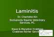 Laminitis Dr. Charlotte Kin Exclusively Equine Veterinary Services, PC. Dave & MaryAnn Crabtree Crabtree Farrier Services