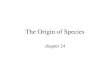 The Origin of Species chapter 24. Figure 24.0 A Galápagos Islands tortoise