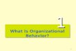 1 What Is Organizational Behavior? 1. 2 The Importance of Interpersonal Skills Understanding OB helps determine manager effectiveness –Technical and quantitative