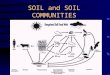 SOIL and SOIL COMMUNITIES. This typical sagebrush community is an illustration of the soil biological communities that occur on range land throughout