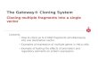The Gateway® Cloning System Cloning multiple fragments into a single vector Contents How to clone up to 4 DNA fragments simultaneously into one destination