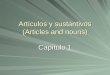 Artículos y sustantivos (Articles and nouns) Capítulo 1