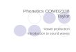 Phonetics COMD2338 Taylor Vowel production Introduction to sound waves