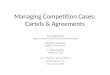 Managing Competition Cases: Cartels & Agreements Yee Wah Chin Ingram Yuzek Gainen Carroll & Bertolotti David A. Clanton Baker & McKenzie J. Mark Gidley