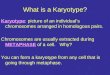 What is a Karyotype? Karyotype: picture of an individuals chromosomes arranged in homologous pairs. Chromosomes are usually extracted during METAPHASE