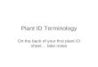 Plant ID Terminology On the back of your first plant ID sheet… take notes