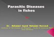 Dr. Mohamed Sayed Mohamed Marzouk Professor of Fish Diseases and Management, Faculty of Veterinary Medicine, Cairo University By