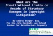 What Are the Constitutional Limits on Awards of Statutory Damages in Copyright Litigation? By Andrew Berger, Esq. For the John Marshall Law School Center